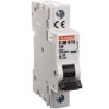 Ogranicznik mocy 1P 10A 10kA P1MB1PT10