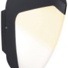 Zewnętrzna lampa ścienna Paulmann Ikosea 94516 4.4 W 350 lm IP44