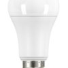 Żarówka GLS LED, 21 W, E27, 230V, 2452 lm 150 W, CRI/Ra 80 %, 2700k, SHOT Ciepły biały, E27 GLS LED Bulb Żarówka