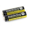 Bateria AA (R6 LR6) alkaliczna EverActive - 2szt