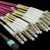 21991100 Fibre-optic cable, MPO/12x LC, OM4, 50/125 µm, violet, 2 m