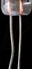 9421 Small signal lamp with wire, T1, 14 V, 0.56 W