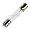 6.3x31 8,0V 250mA SF6 LAMP 205 /bezpiecznikowa/