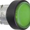 Schneider Electric ZB4BP3837 ZB4BP3837 Element czołowy dla przycisku zawiera membranę, resetowalny (Ø) 22 mm nieoznakowa