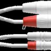 CFU 3 MC-SNOW CORDIAL Cinch/RCA cable