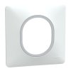 Plaque 1 poste Blanc Argent C
