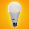 Żarówka Led Pitt E27 12W 3000K