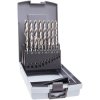 Alpen 0000110319100 HSS Twist Drill Bit Set 19pc For Alloyed Steel