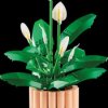 11504 LEGO® Botanicals - Peace Lily