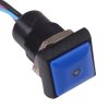 IRC3F4B2L0B APEM Blue LED Blue Button Square 16mm Momentary NO Push Button Switch Prewired IP67