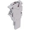 WAGO 2022-161 1 Conductor Base Module with Integrated End Plate Codable Grey