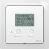 Termohigrostat z zegarem i wyświetlaczem w stylu E-Design55, matowa biel polarna