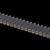 Socket - 36-pin, straight, 2.54 pitch, H: 7.0 mm