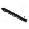 DS1002-01-1X16S13