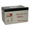Akumulator 12Ah 12V Agm 10-12 Lat 151*98*100 (T2-Szeroki) Mwl 12-12L Mw Power