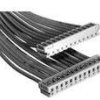 TE Connectivity 175778-2 TE AMP AMP Common Termination Connector System, 1 szt.