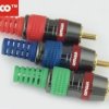 WTYK RCA RGB ZLOTY VITALCO