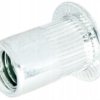 M3 Rivet Nut - Galvanized Steel