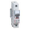 Rozłącznik izolacyjny 1-fazowy 1P 63A 250V AC FR301 406421 LEGRAND