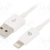 CC-USB2P-AMLM-1M-W