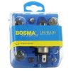 Zestaw H4 24V Bosma 4612