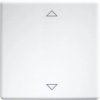 Grawerowane laserowo przyciski i przełączniki 55er i E-Design55 w kolorze czystej bieli - W-FT55-rw+2P