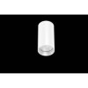 Lampa sufitowa LED DOTLUX 4356-030036