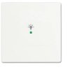 Busch-Jaeger 1 x Zaślepka Klawisz z symbolem „światło” free@home biały, biały 2CKA006220A0482 1 szt.