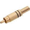 Wtyk RCA na kabel złoty z czarnymi paskami / 1557
