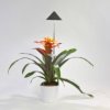 Lampa LED do roślin Venso E504 150 SUNLiTE LED wbudowany na stałe 7 W 1 szt.