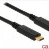 83661 Delock cable USB 3.1 Gen 2 C male > C male 3A 1 m