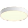 Philips 4116031P6 Hue LED Ceiling Light 33.5W Bluetooth Control Dimmer
