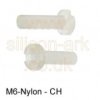 M6 x 30mm Nylon CH HD Screw - RS