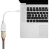 LINDY 41021 Mini DisplayPort to DisplayPort Adapter Cable White 15cm