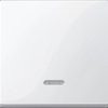 436019 System M, rocker, with indicator window, polar white glossy