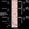 High Accuracy 8-Channel Parallelable 1A Buck DC/DCs