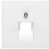 Berker Q.1 Plakietka Do Gniazda Teleinformatycznego Pojedynczego Śnieżnobiała...