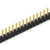 Pin header, 20 pole, pitch 2.54 mm, straight, black, 10053825