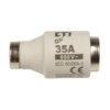 Wkładka Bezpiecznikowa 35A Diii Gf / Biwts 500V E33 002313101