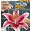 Make: Magazine Volume 07 - Print Edition
