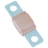 125A Pink Midi Fuse