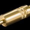 Jack plug, 3.5 mm stereo, gold-plated
