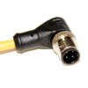 Mueller Electric Kabel siłownika czujnika Złącze A Złącze M12, Prosty kąt 4 długość 10 m Rodzaj A Męski Złącze B