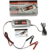 Dino KRAFTPAKET 136301 Automatic charger 12 V/6 V 3 A for Car & HGV batteries