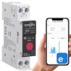 Przekaźnik WiFi 63A na szynę DIN eWeLink Sonoff pomiar energii harmonogram SY2-JWM