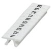 ZB 4,LGS:FORTL.ZAHLEN 11-20 (0805739:0011)
