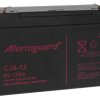 Akumulator 12Ah/6V CJ6-12 T1