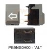 Pushbutton Switch (PB9NS0H00 -AL) - Greatecs