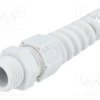 HELU-93861