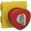Wyłącznik awaryjny, kluczowy Legrand Legrand 076601, 250 V, 1 NC, 1 NO, 1 szt.